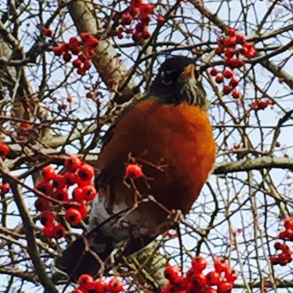 Meet your Posher, I - Picture 1 of 1